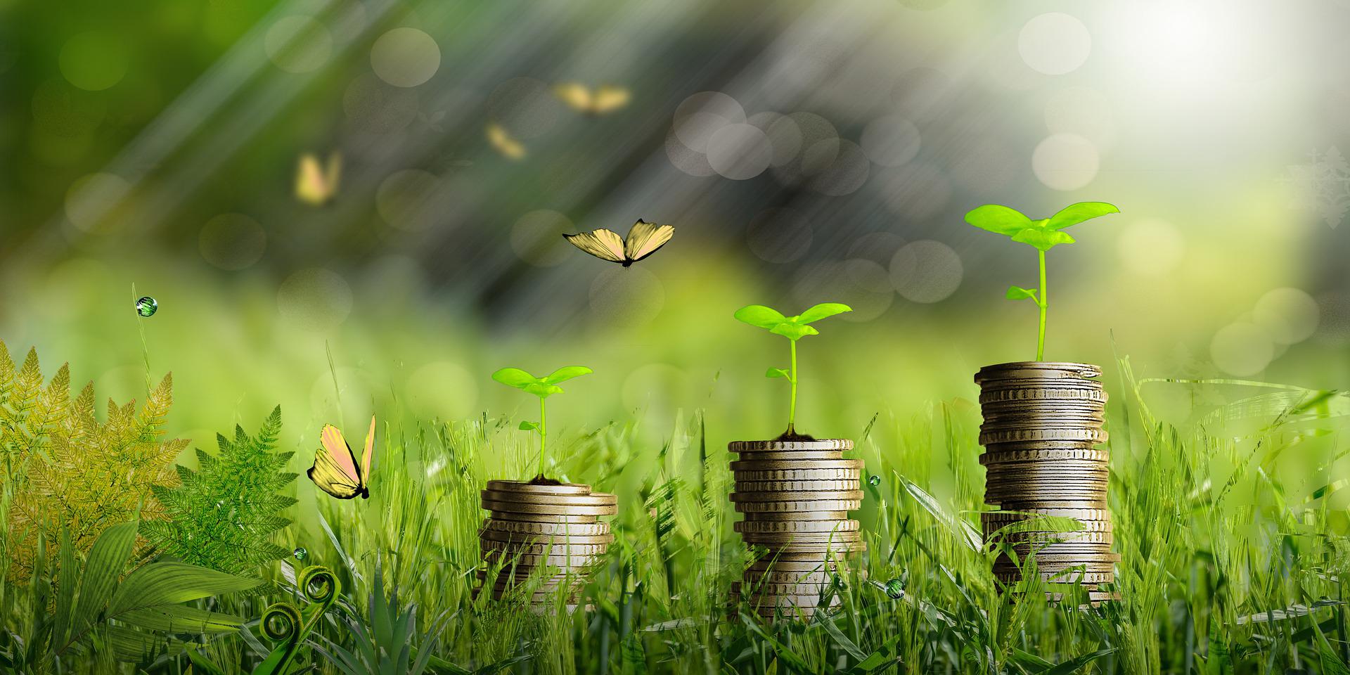 Jargon Buster - Sustainability in action