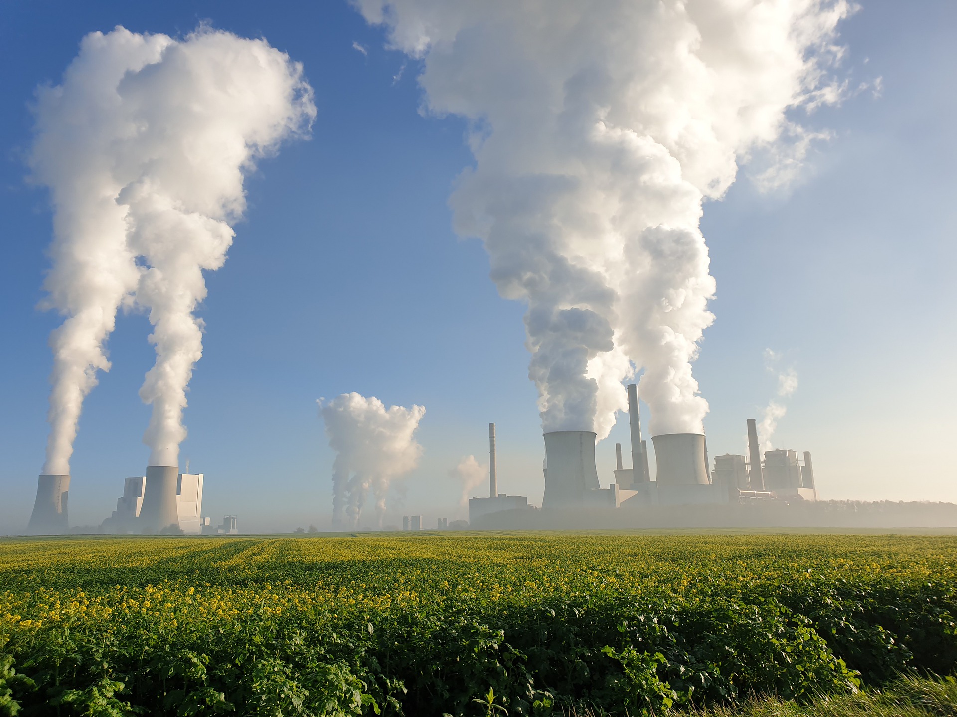 Jargon Buster - Sustainability in action