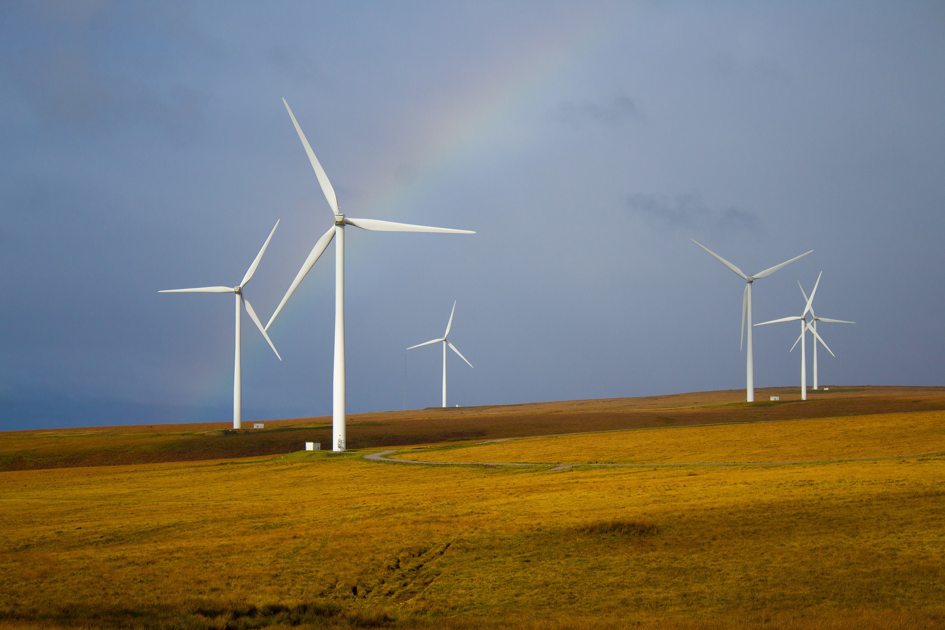 Jargon Buster - Sustainability in action