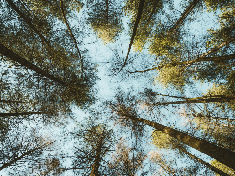 BBG Is Now Carbon Neutral